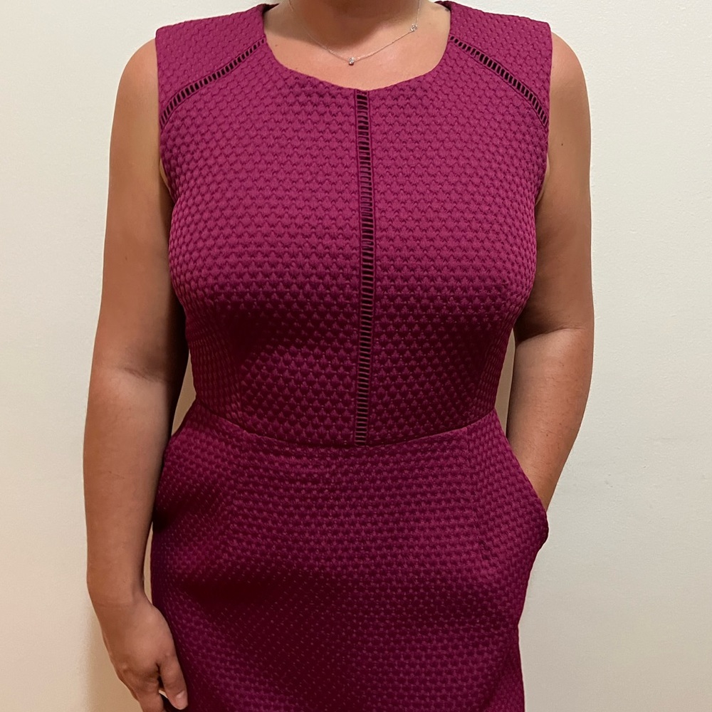 J.Crew Raspberry Shift Dress size 6 - Picture 3 of 11